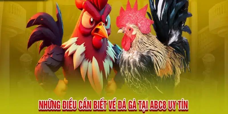 ABC8 giải thích cho tân thủ cách chơi đá gà cựa dao là gì