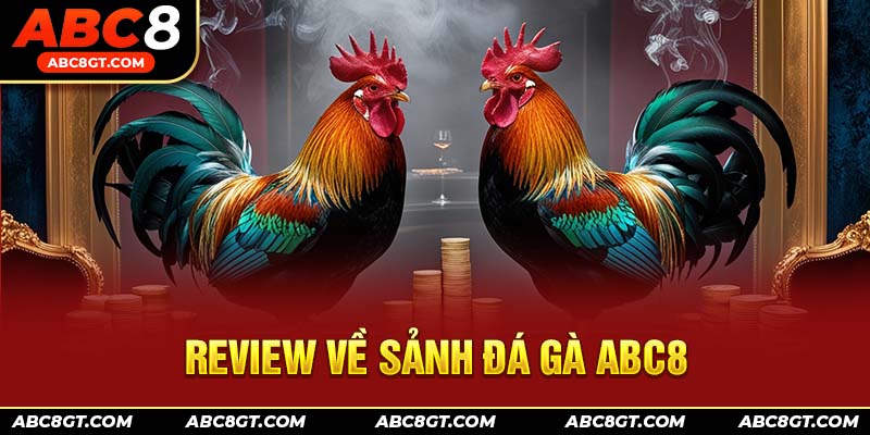 Review chân thực của hội viên về sảnh đá gà ABC8